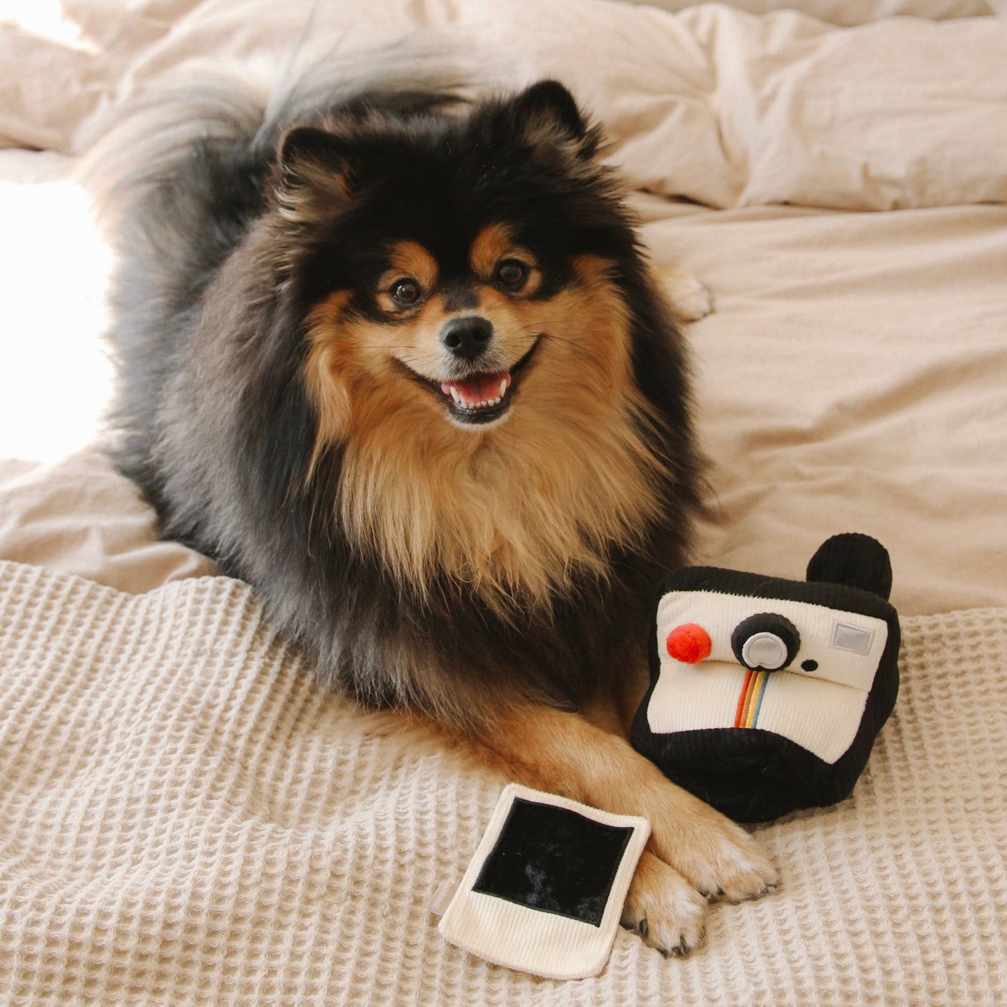 Jouet - Appareil photo