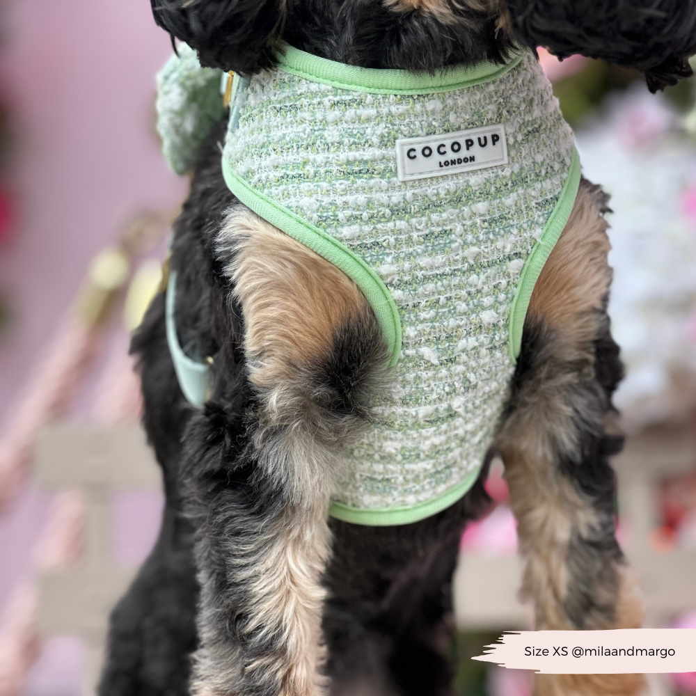 Harnais - tweed texturé Matcha