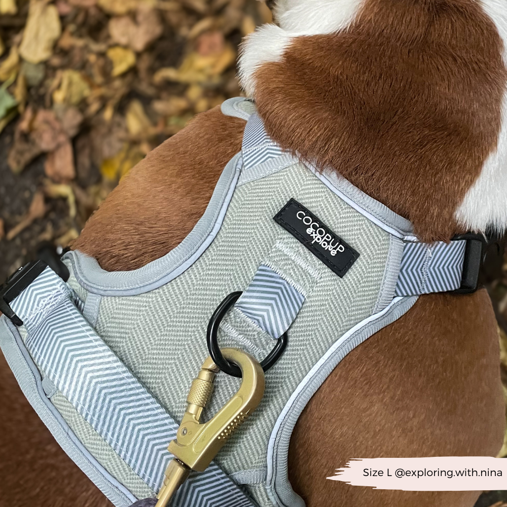 Harnais explore tweed sauge