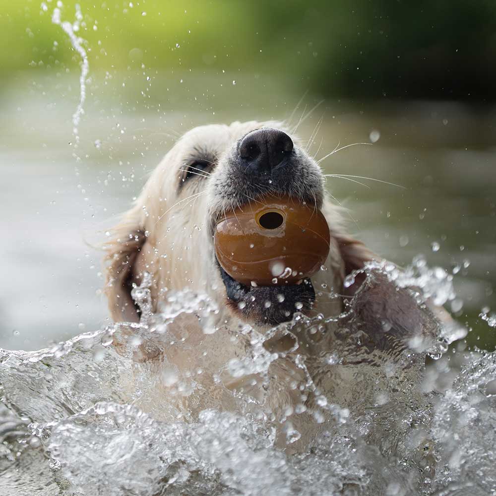 Jouet pour chien Rub Ball