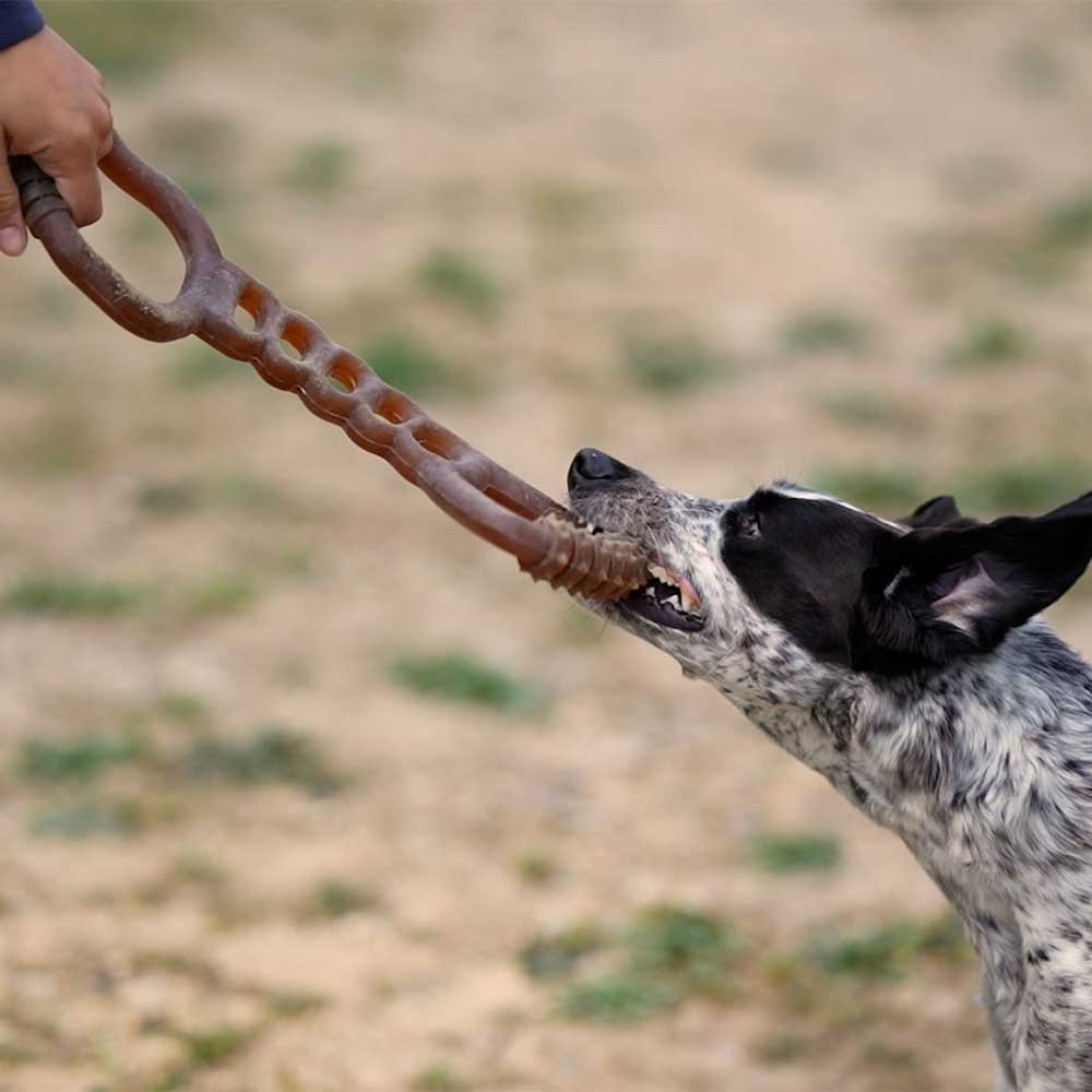 Jouet robuste tir à la corde - Rub