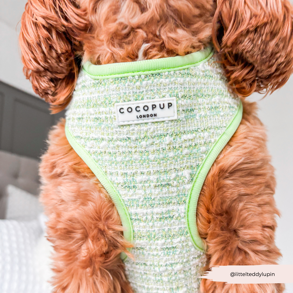 Harnais - tweed texturé Matcha