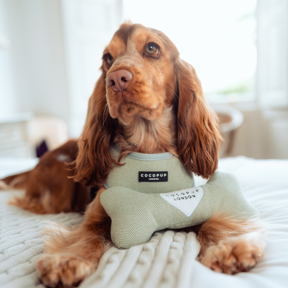 Jouet en os en tweed Sage