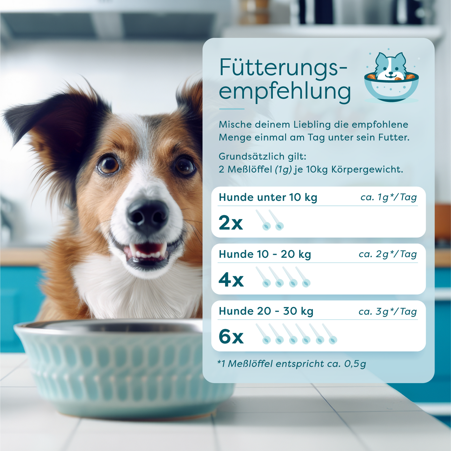 ImmunBooster - Renforce le système immunitaire