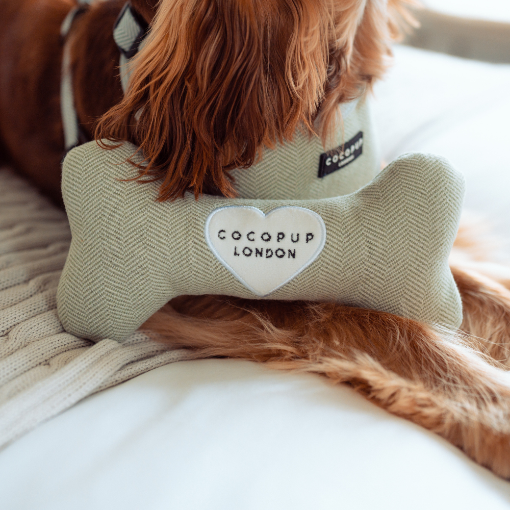 Jouet en os en tweed Sage