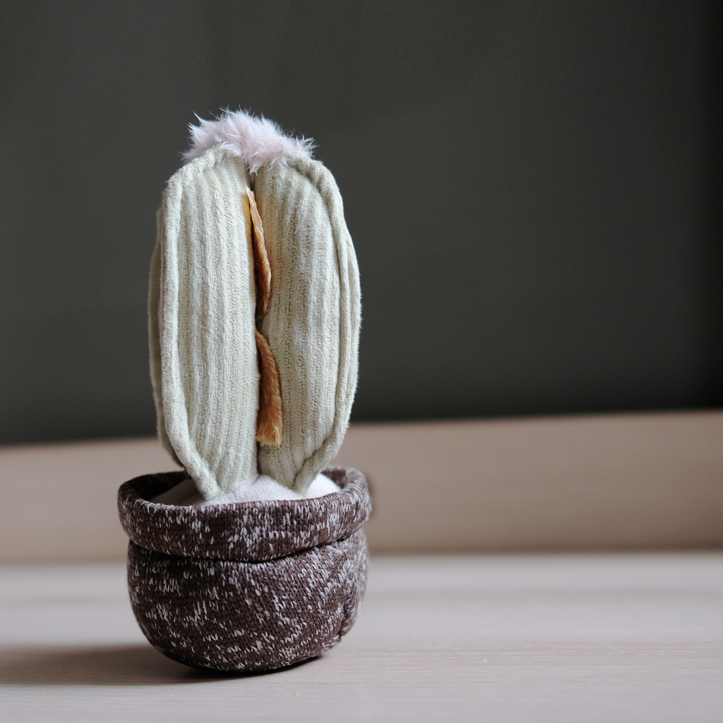 Jouet - Cactus