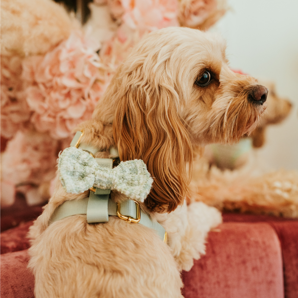 Nœud papillon - Tweed texturé matcha