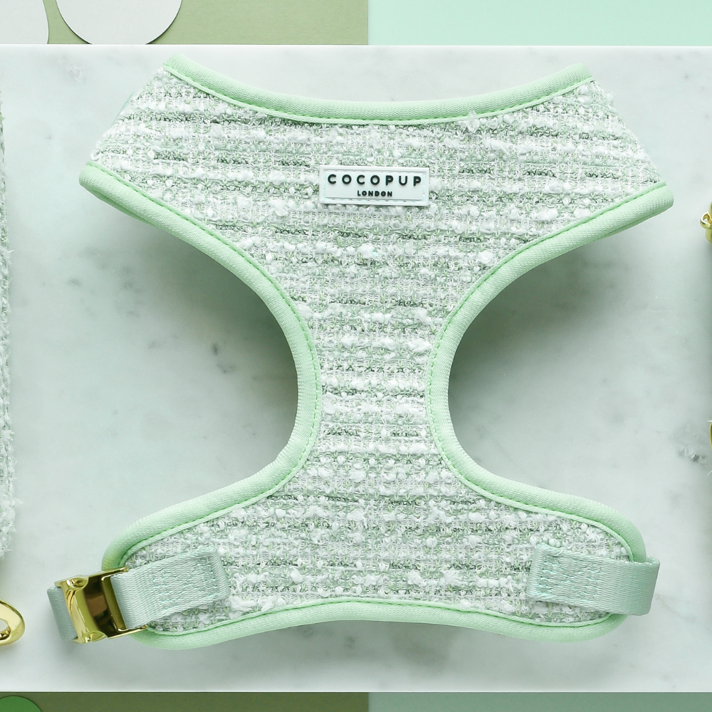 Harnais - tweed texturé Matcha