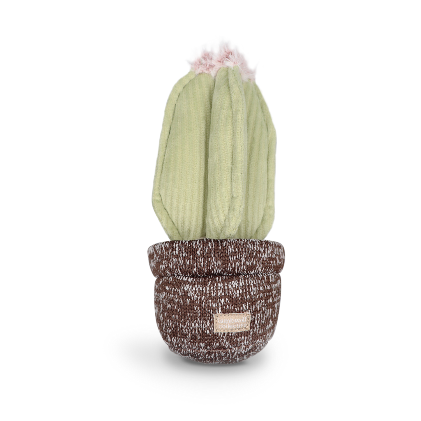 Jouet - Cactus