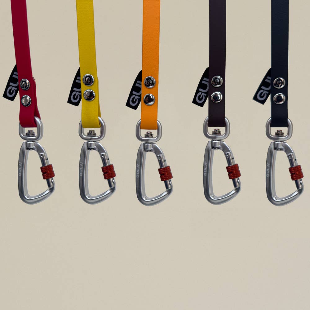 Longe Biothane - 10 mètres