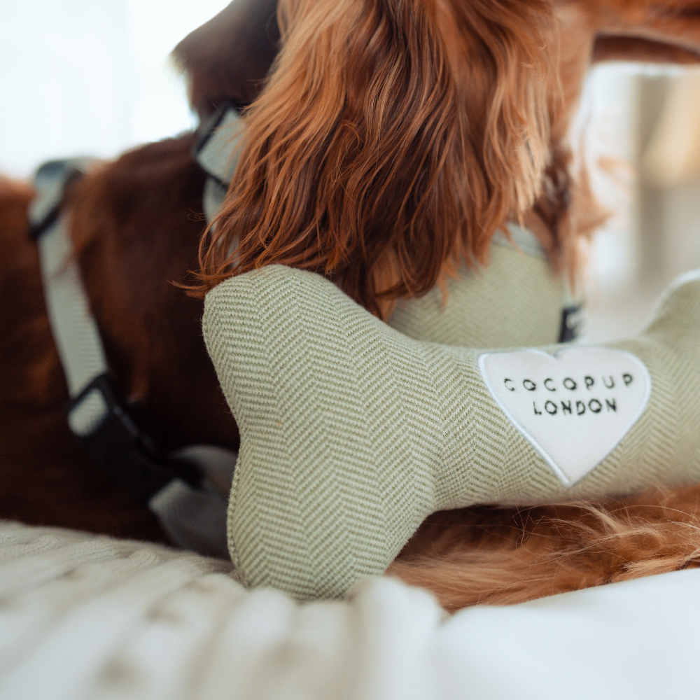Jouet en os en tweed Sage