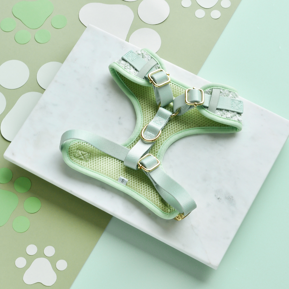Harnais - tweed texturé Matcha