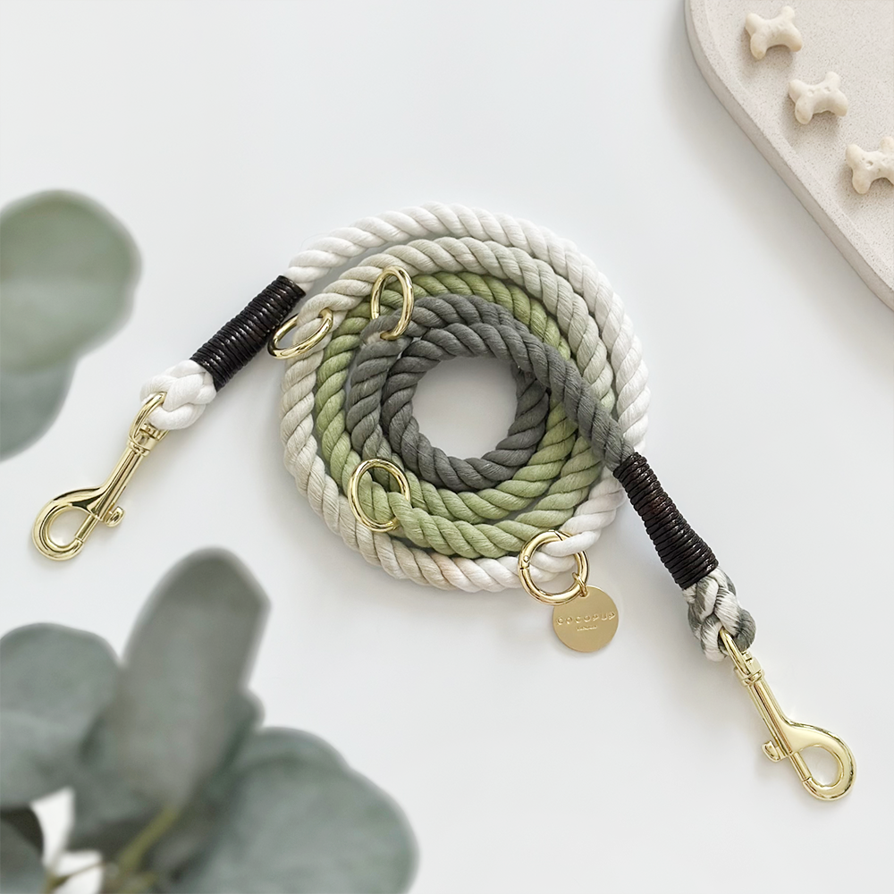Laisse en corde à double extrémité - Vert pistache