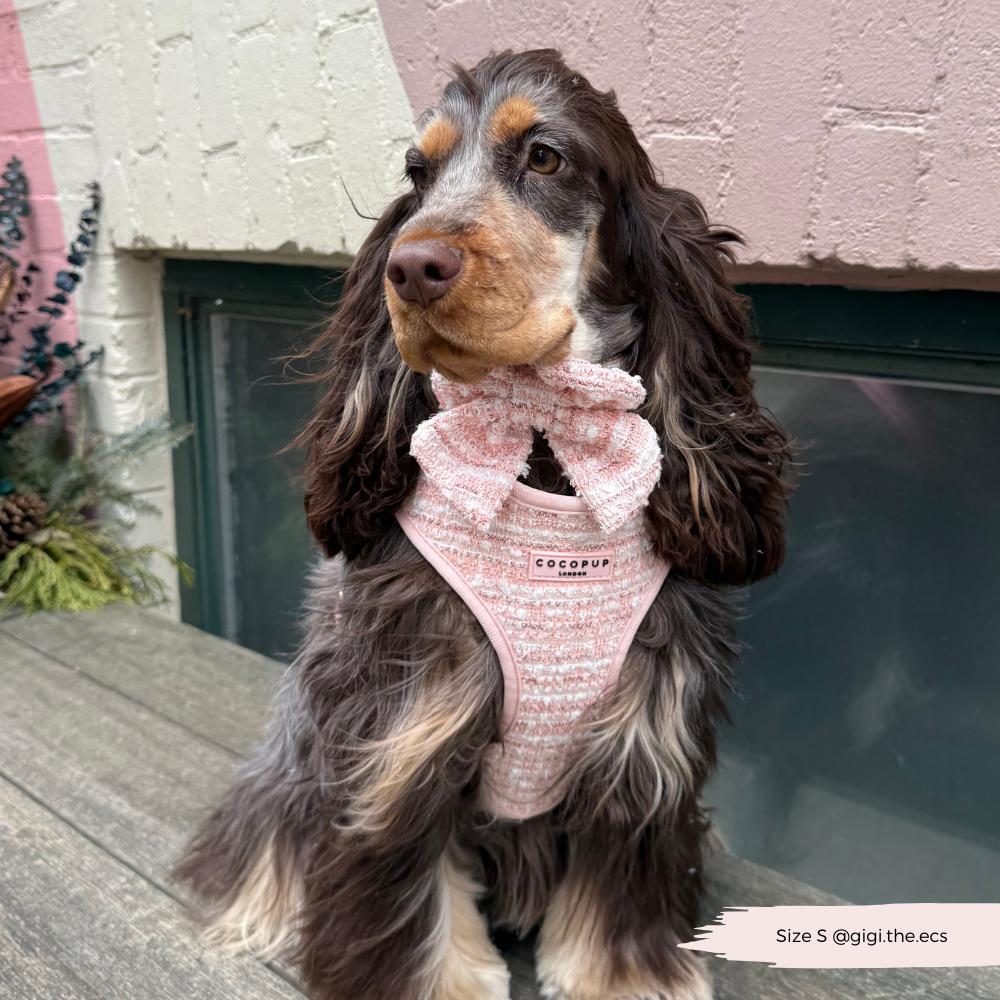 Grand nœud - Tweed Texturé Rose