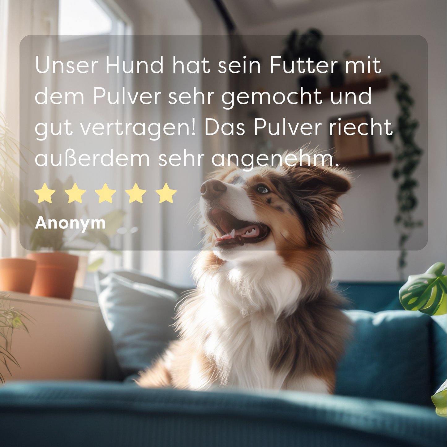 ImmunBooster - Renforce le système immunitaire