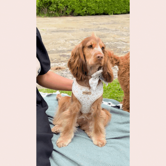 Bandoulière de sac - Prairie