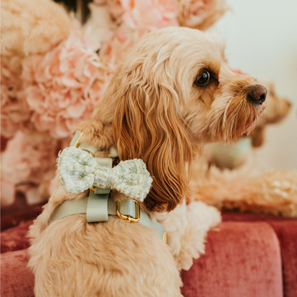 Nœud papillon - Tweed texturé matcha