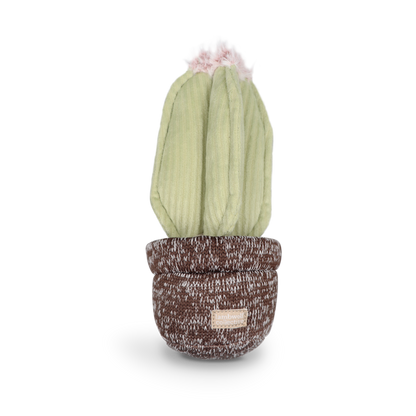 Jouet - Cactus