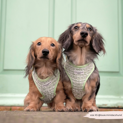 Harnais - tweed texturé Matcha