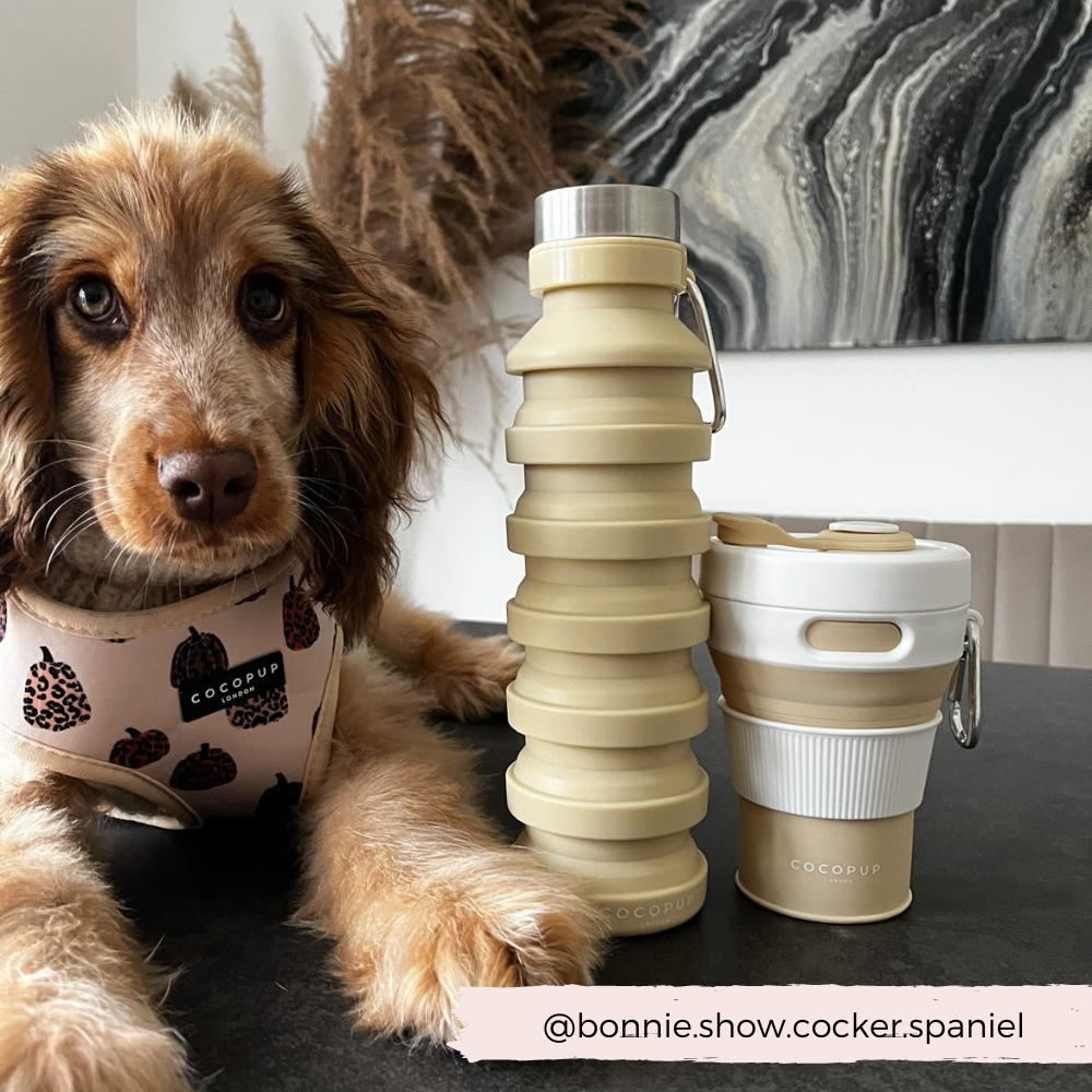 Tasse à café pliable - Nude