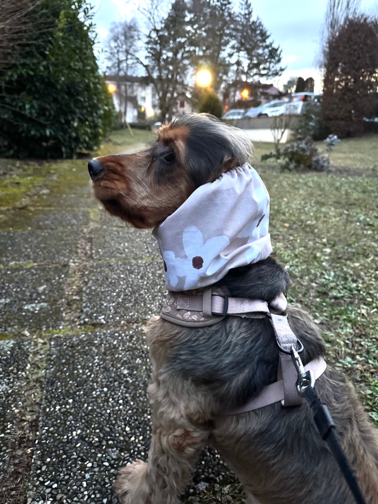 Snood - Fleur beige