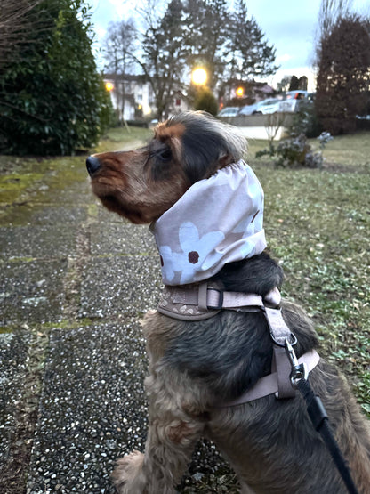 Snood - Fleur beige