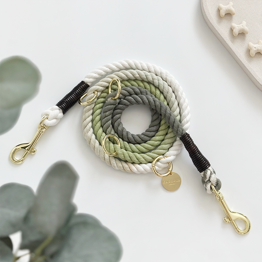 Laisse en corde à double extrémité - Vert pistache